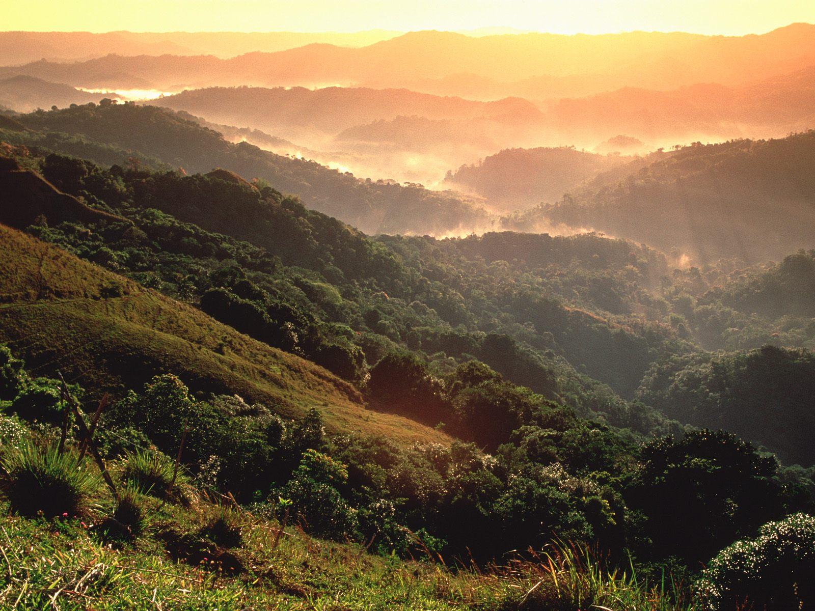 El Yunque rainforest Puerto Rico free desktop background