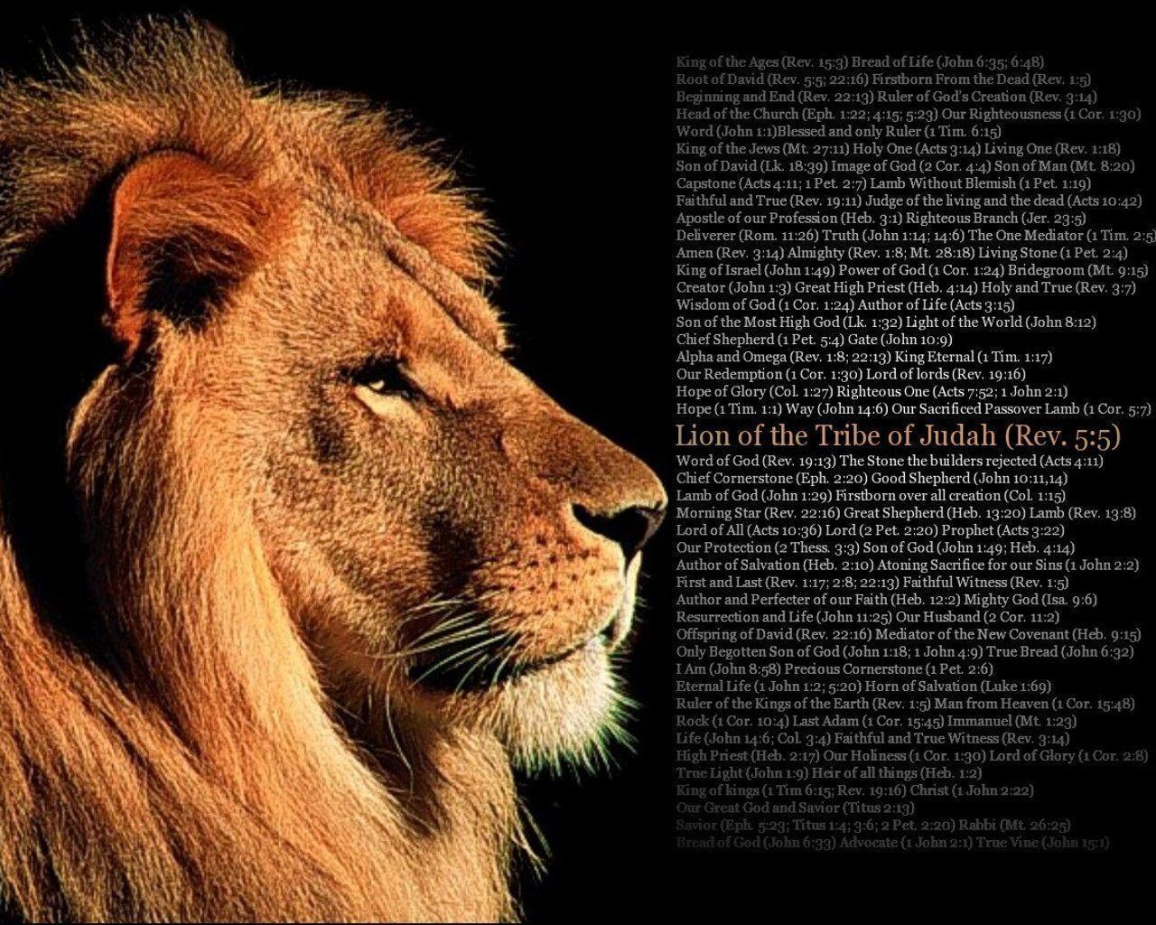 The Lion Of Judah With Scripture HD Wallpaper