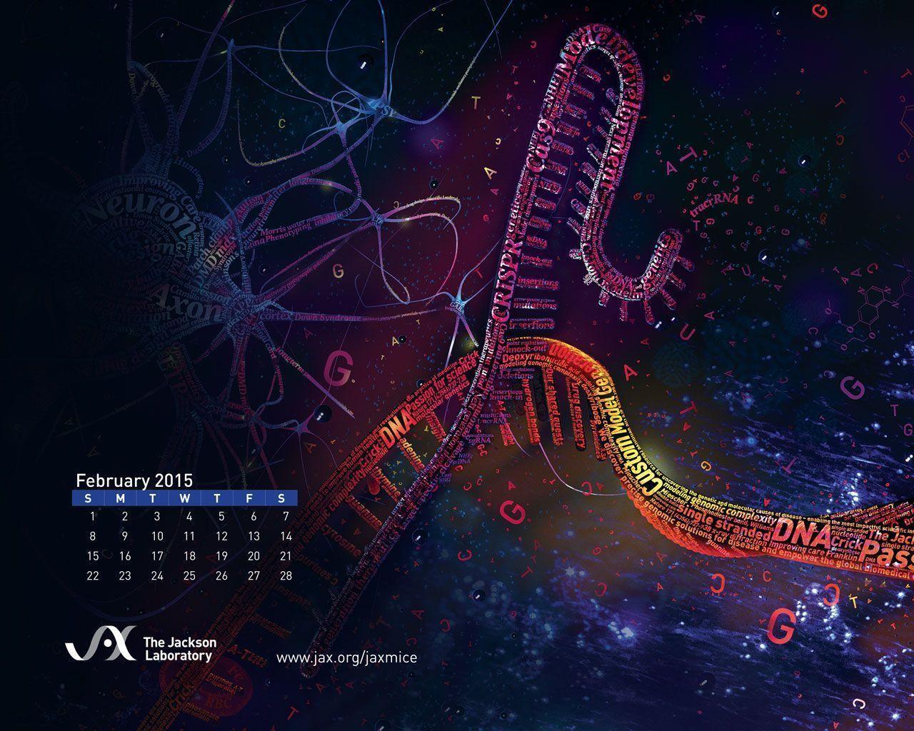 Desktop Wallpaper Calendars for February 2015 Jackson Laboratory