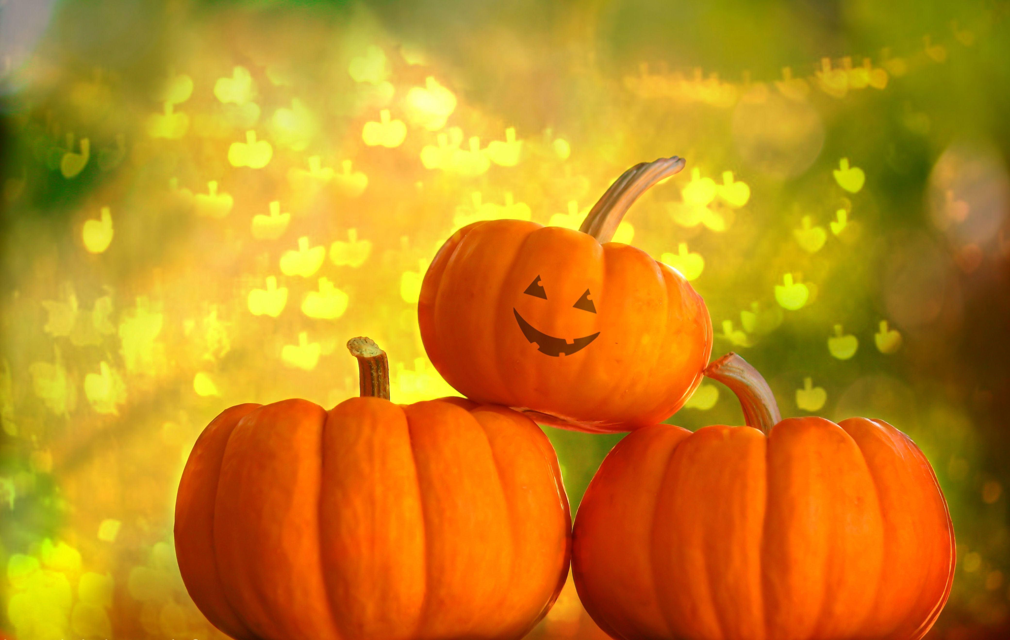 Download wallpaper Halloween, Pumpkin, background free desktop