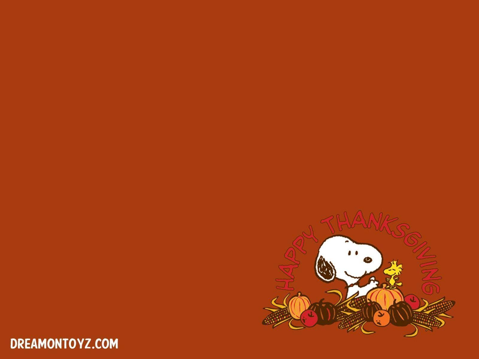 Snoopy Thanksgiving Wallpaper HD Orange Background taken from Free