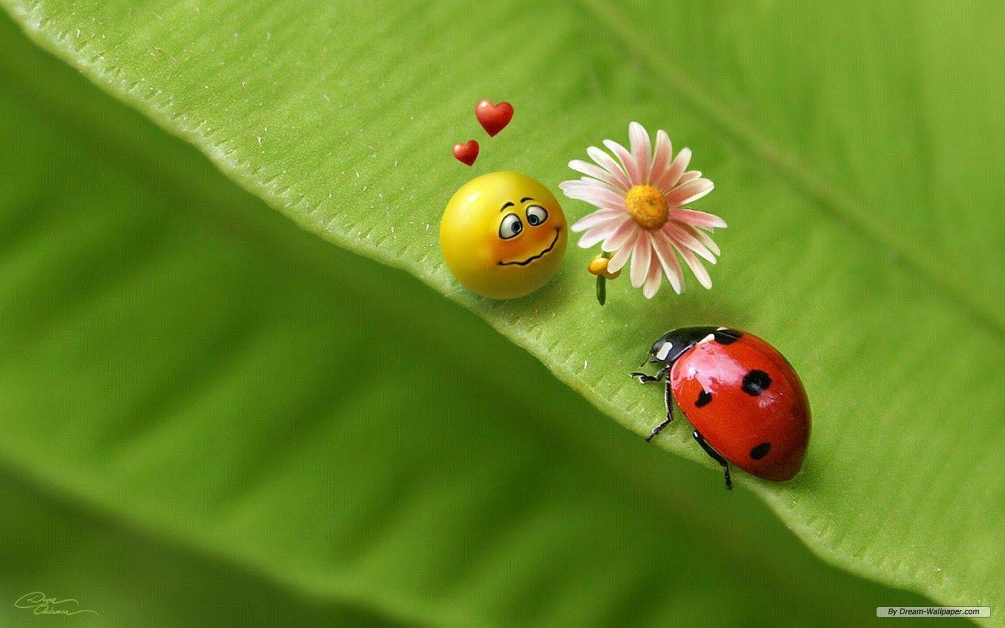 3D desktop wallpaper