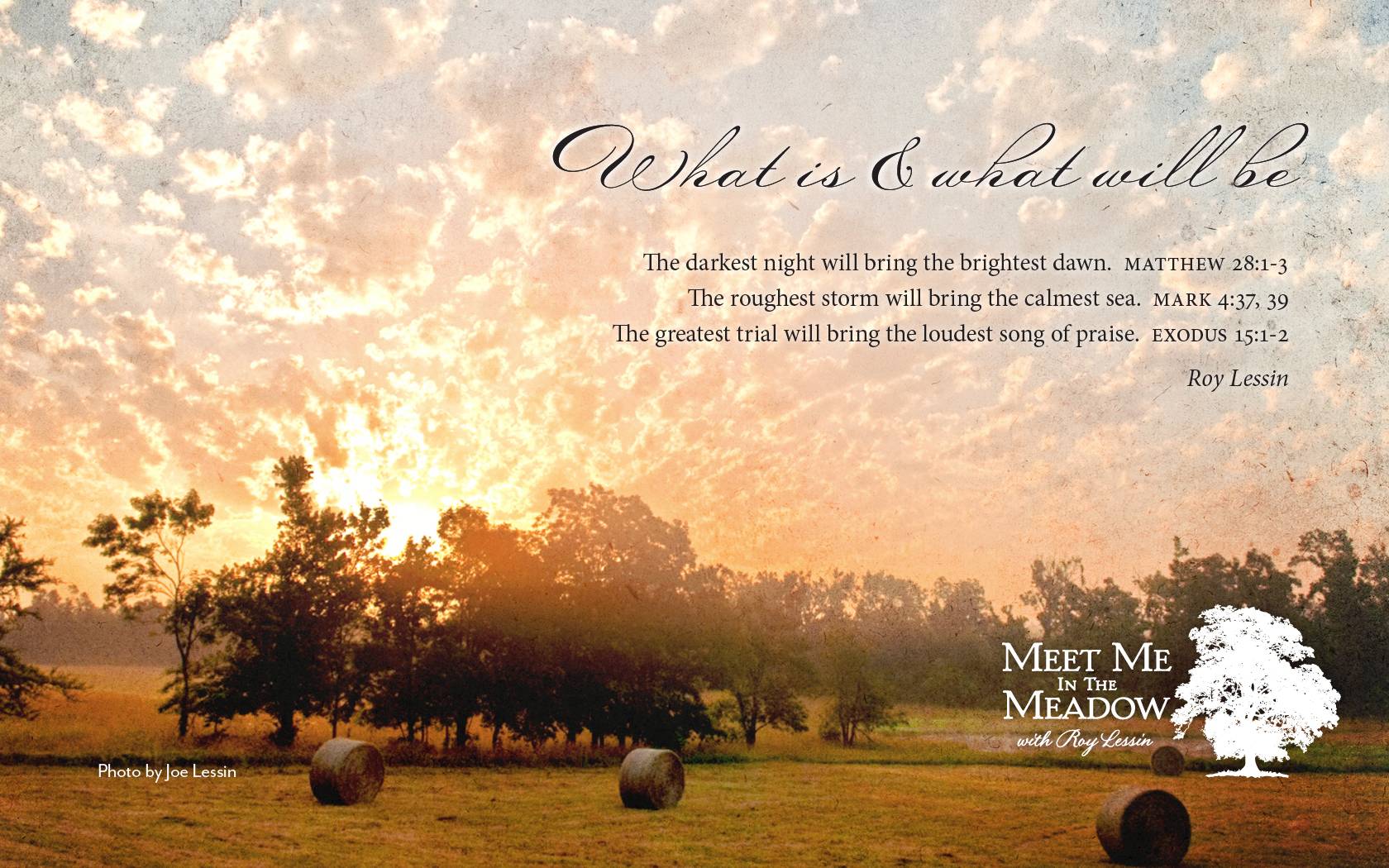 Meet Me In The Meadow Devotional Online with Roy Lessin