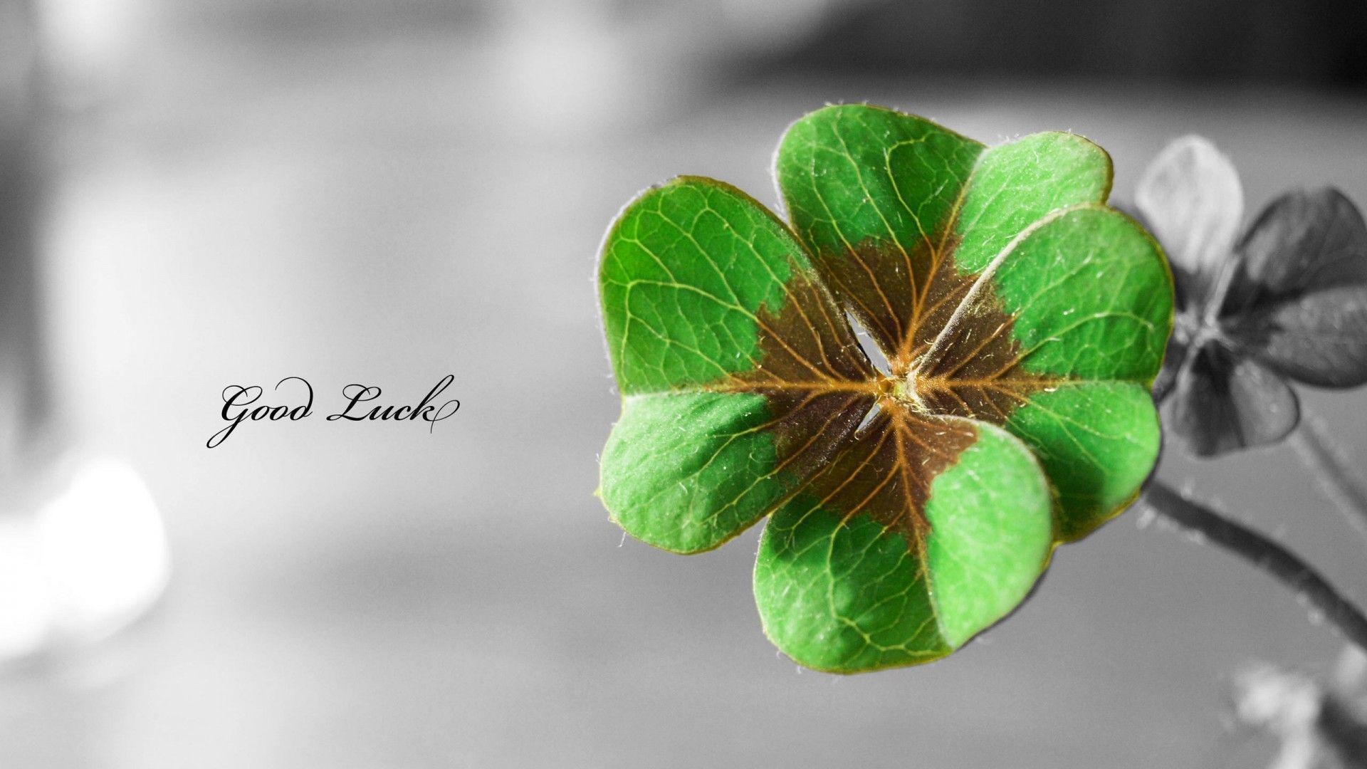 Good Luck Wallpapers Wallpaper Cave