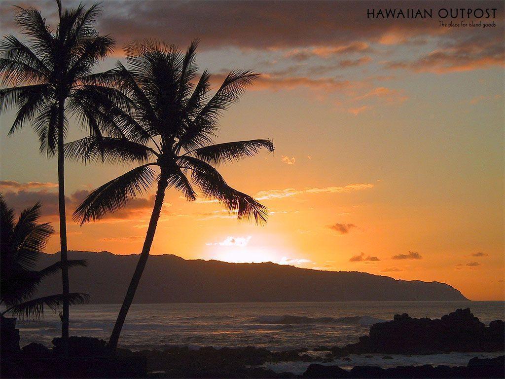 Amazing Hawaii Sunset Beach Wallpaper Beach Wallpaper Background
