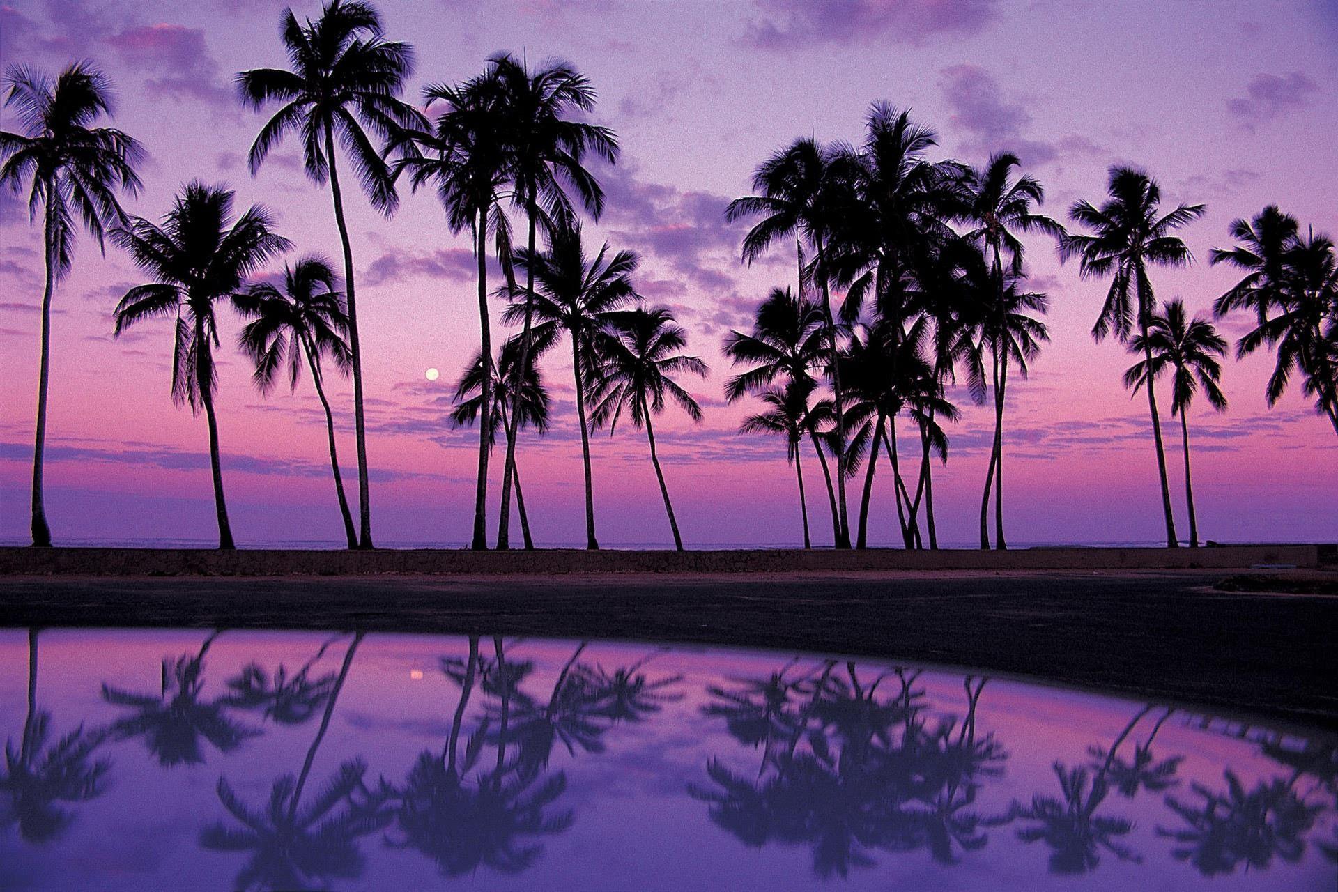 Wallpaper For > Purple Ocean Sunset Background