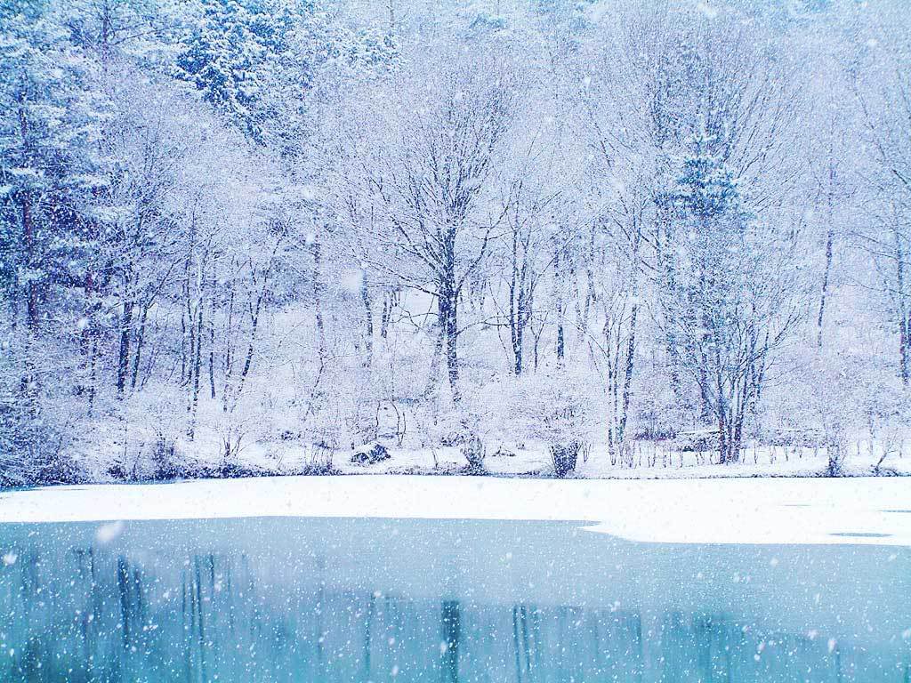 Winter Wonderland Background. Free Internet Picture