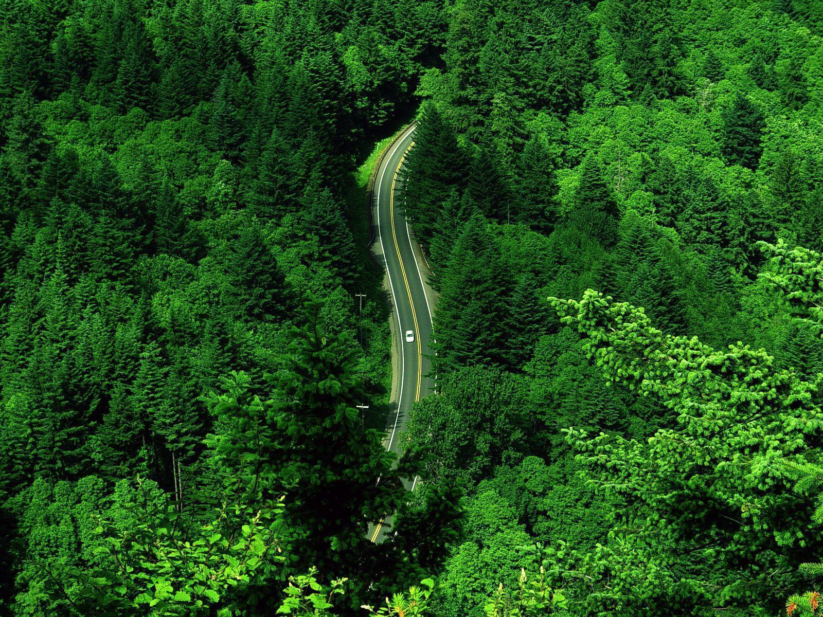 Beautiful Road Wallpaper HD (60). HD Wallpaper Free Download