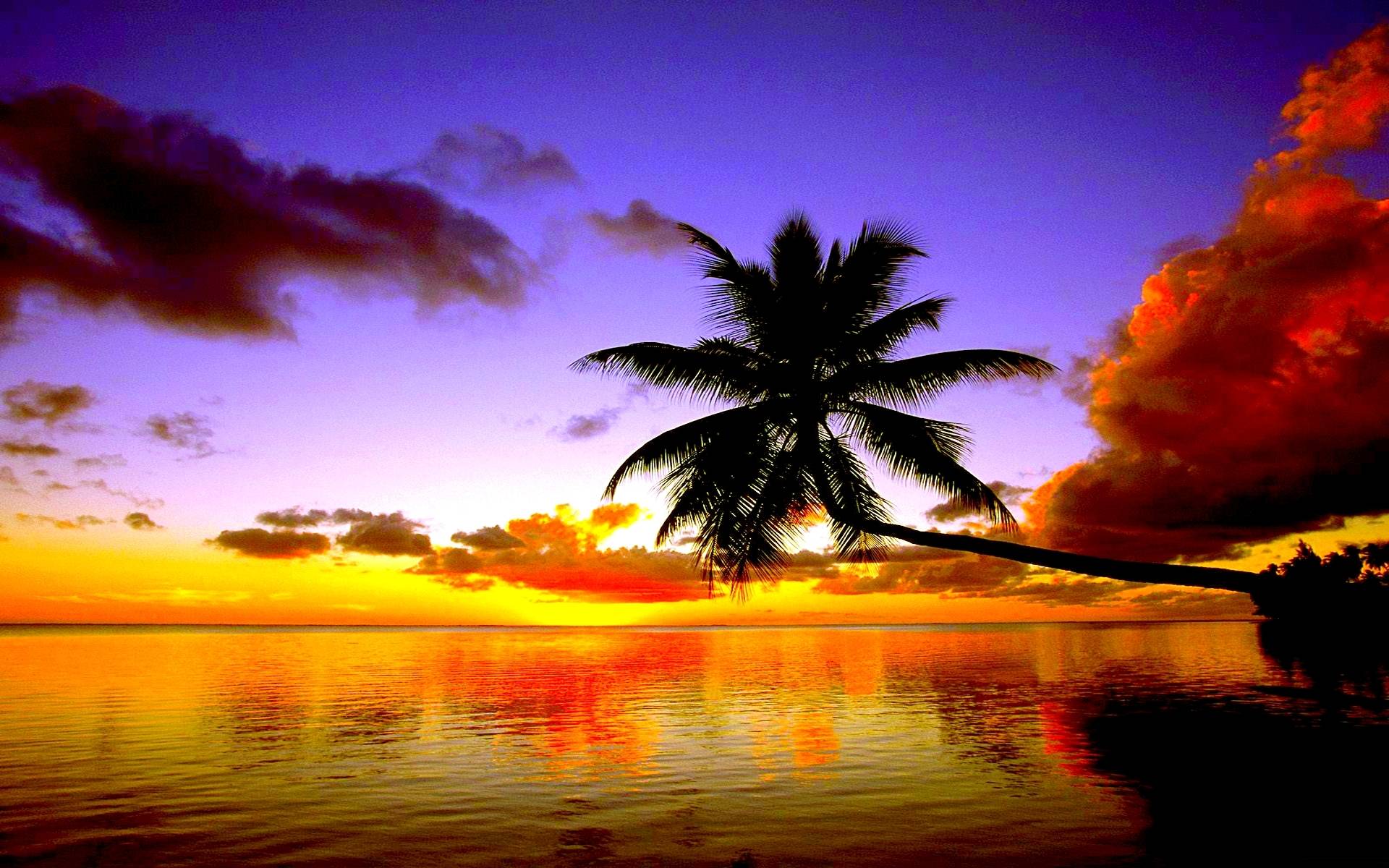 Tropical Beach Sunset