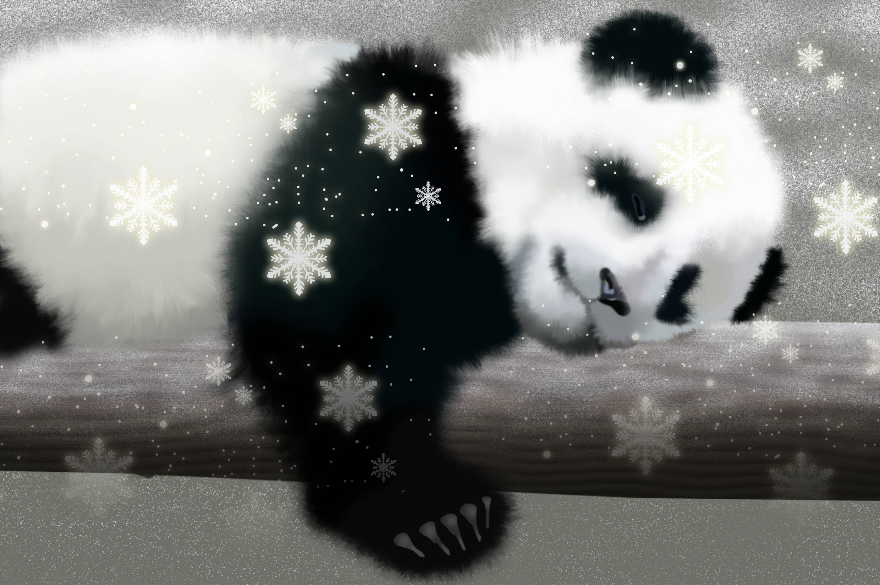 Baby Panda Wallpaper