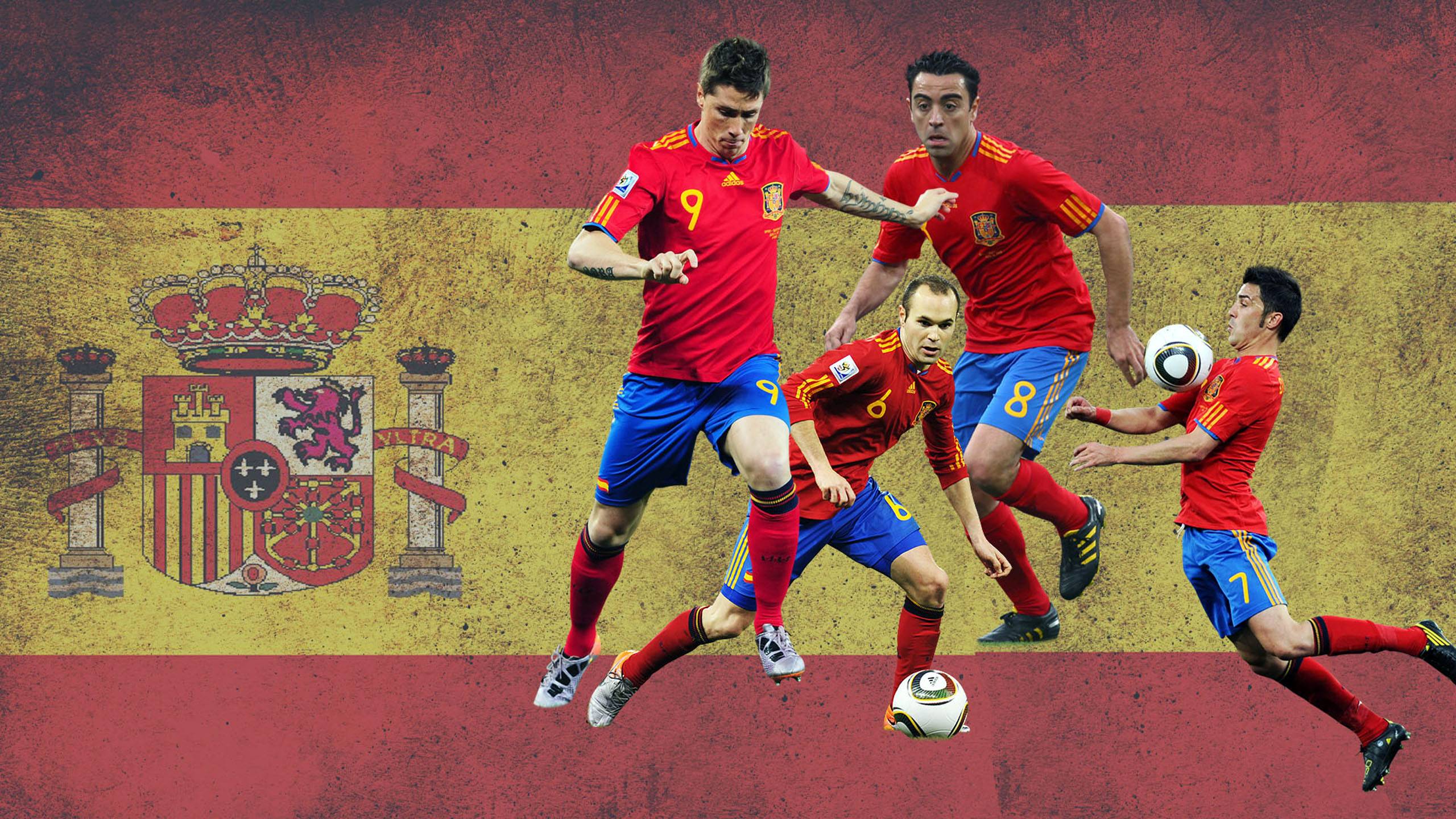 Spain Soccer Team And Flag 2560x1440 wallpaper