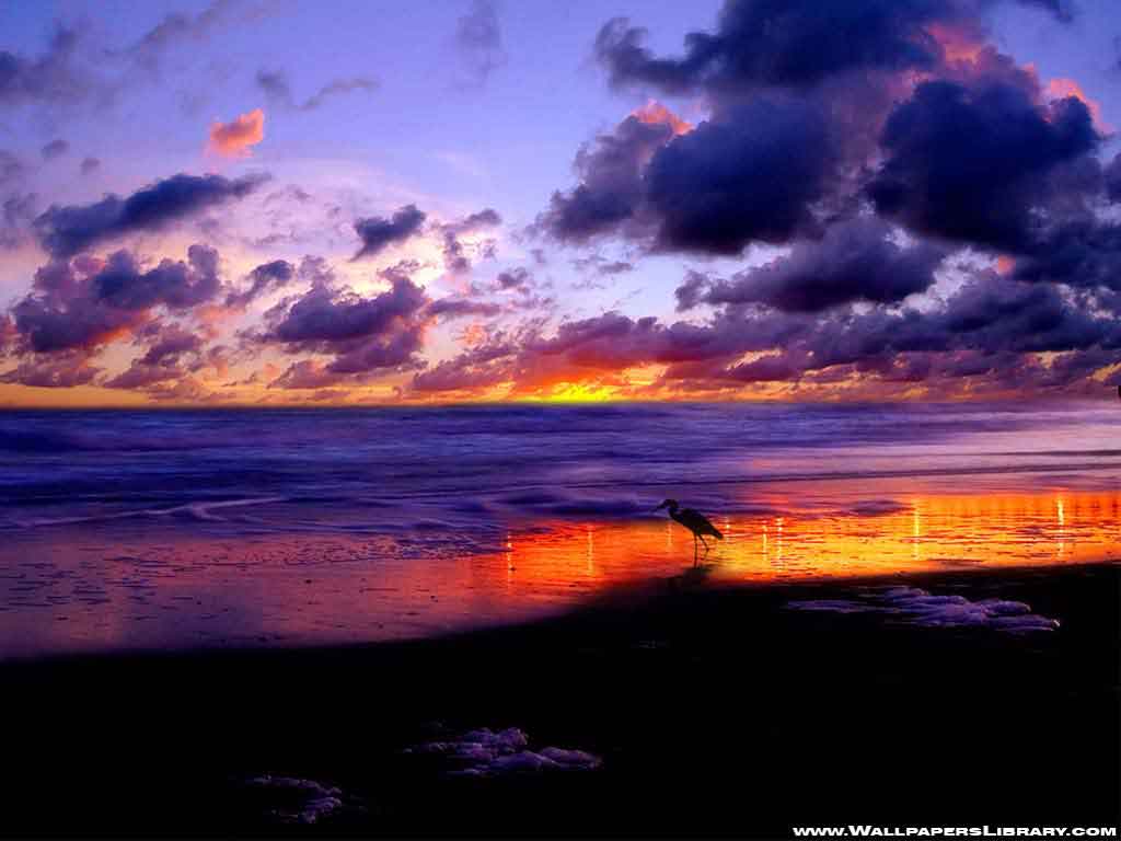 Beach Sunset Background For Desk HD Wallpapercom