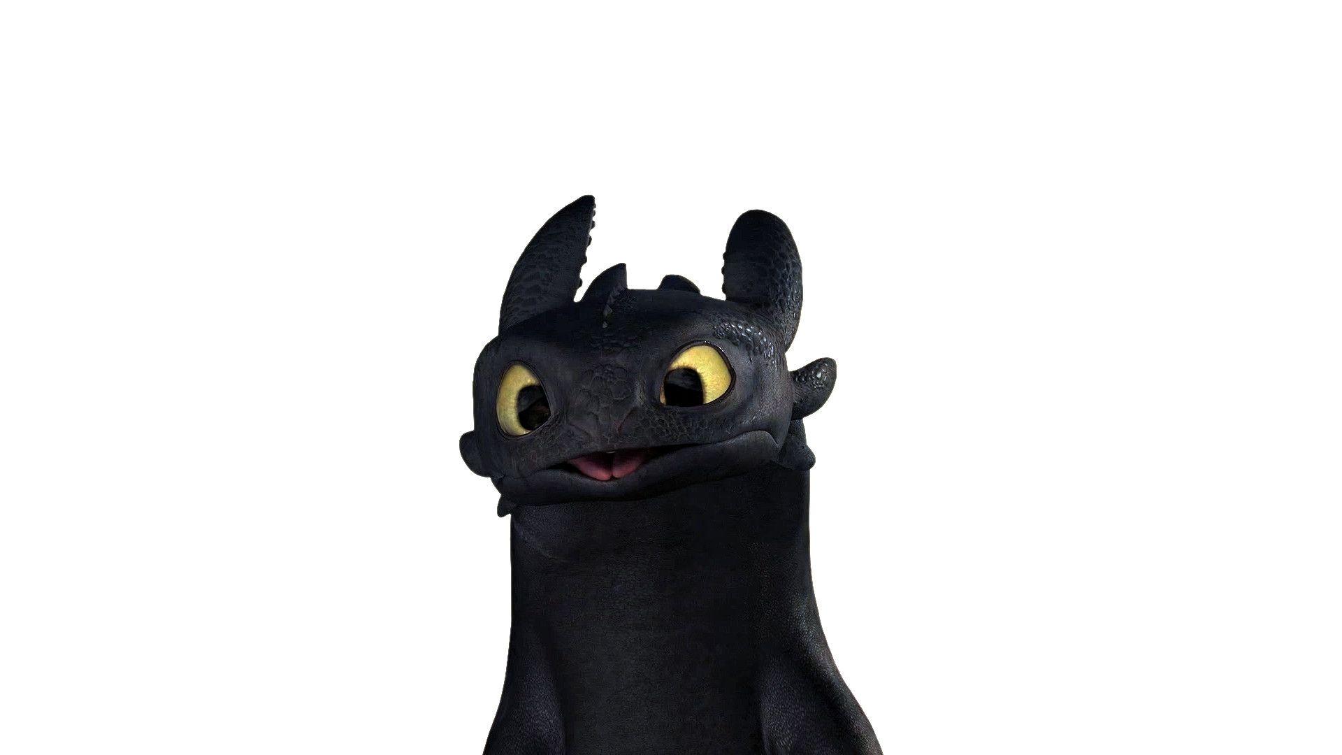 Download Toothless How Wallpaper 1280x800 #