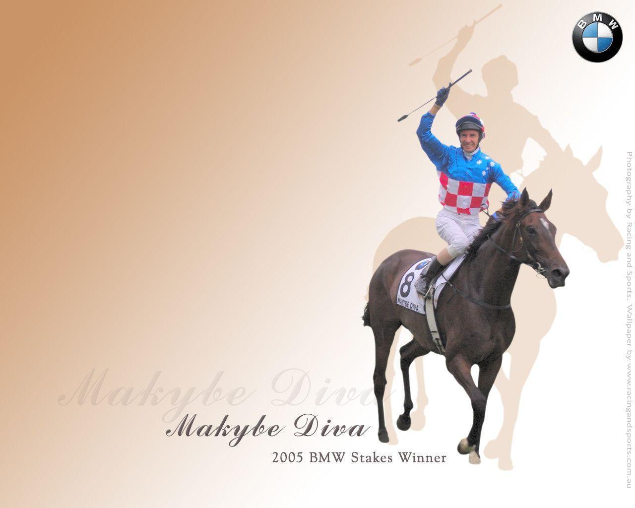 Makybe Diva Cup Wallpaper