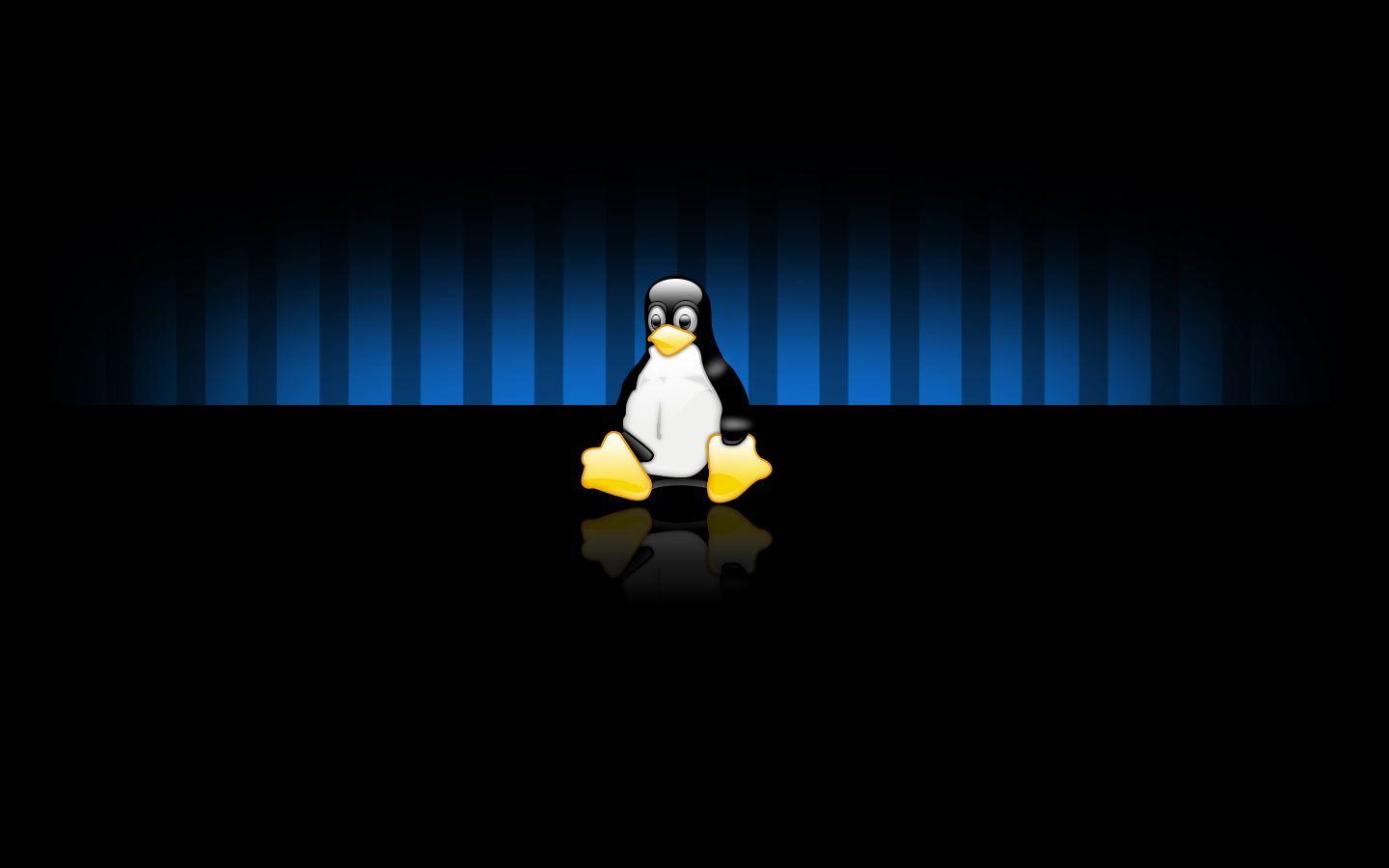 Widescreen Tux Linux Desktop Wallpaper HD Movie Cinema Film
