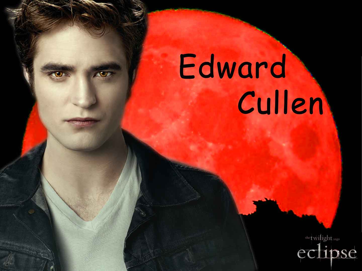 Free Wallpaper Saga Edward Cullen wallpaper