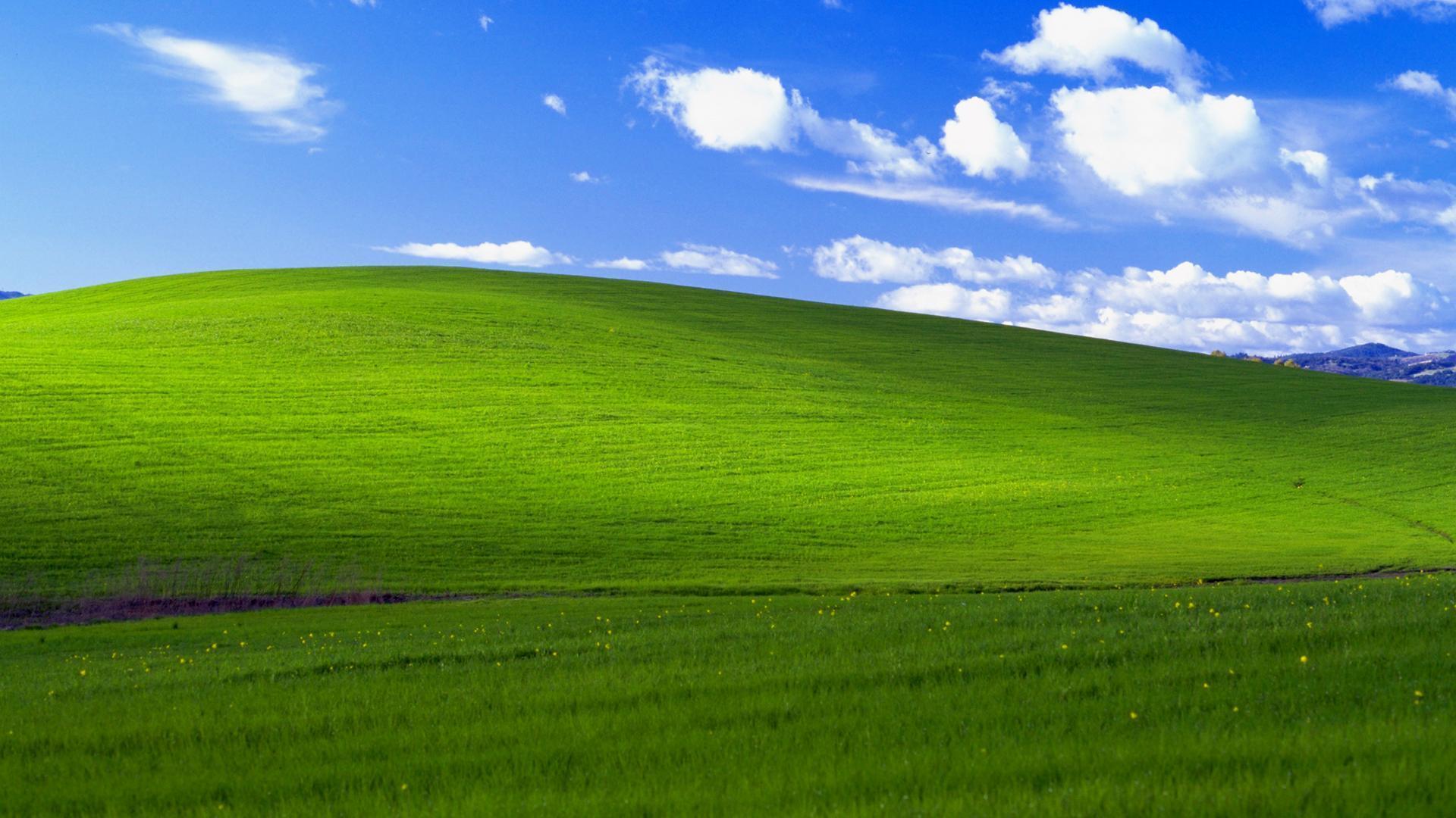 I tried to recreate the Windows XP background, Bliss, in Minecraft