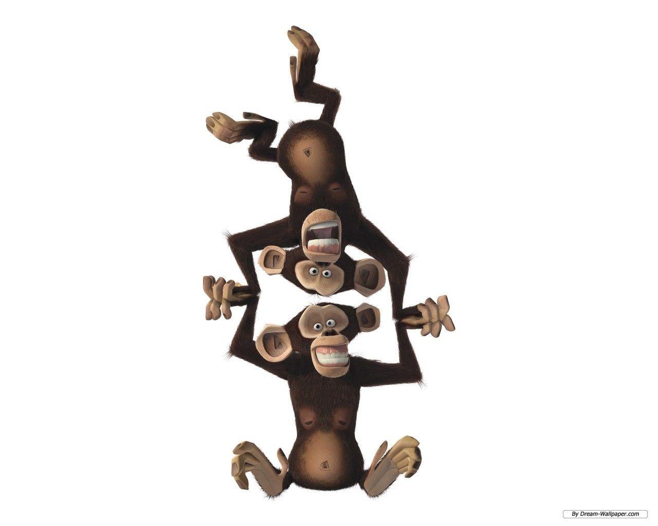 Monkey Of Madagascar Image 65215 Wallpapers