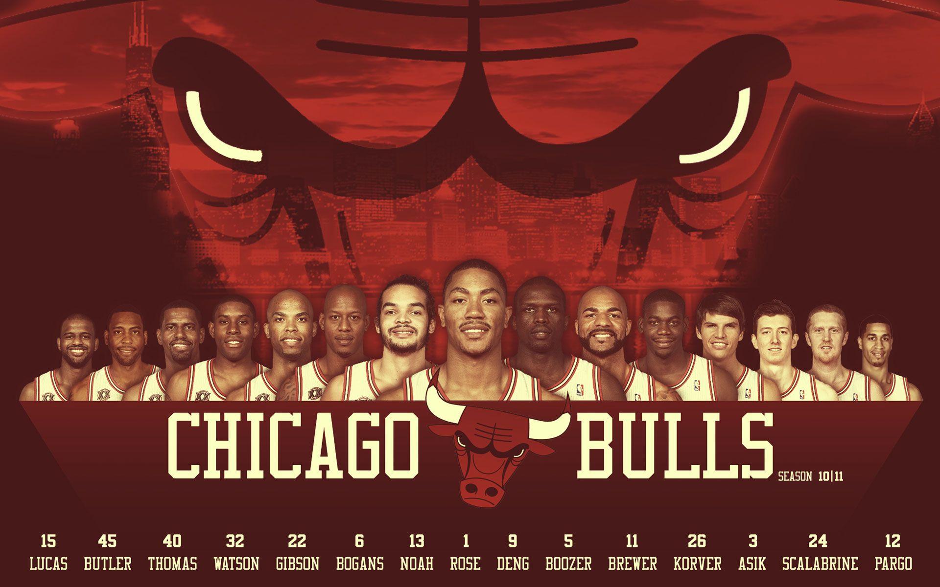 2009 chicago bulls roster
