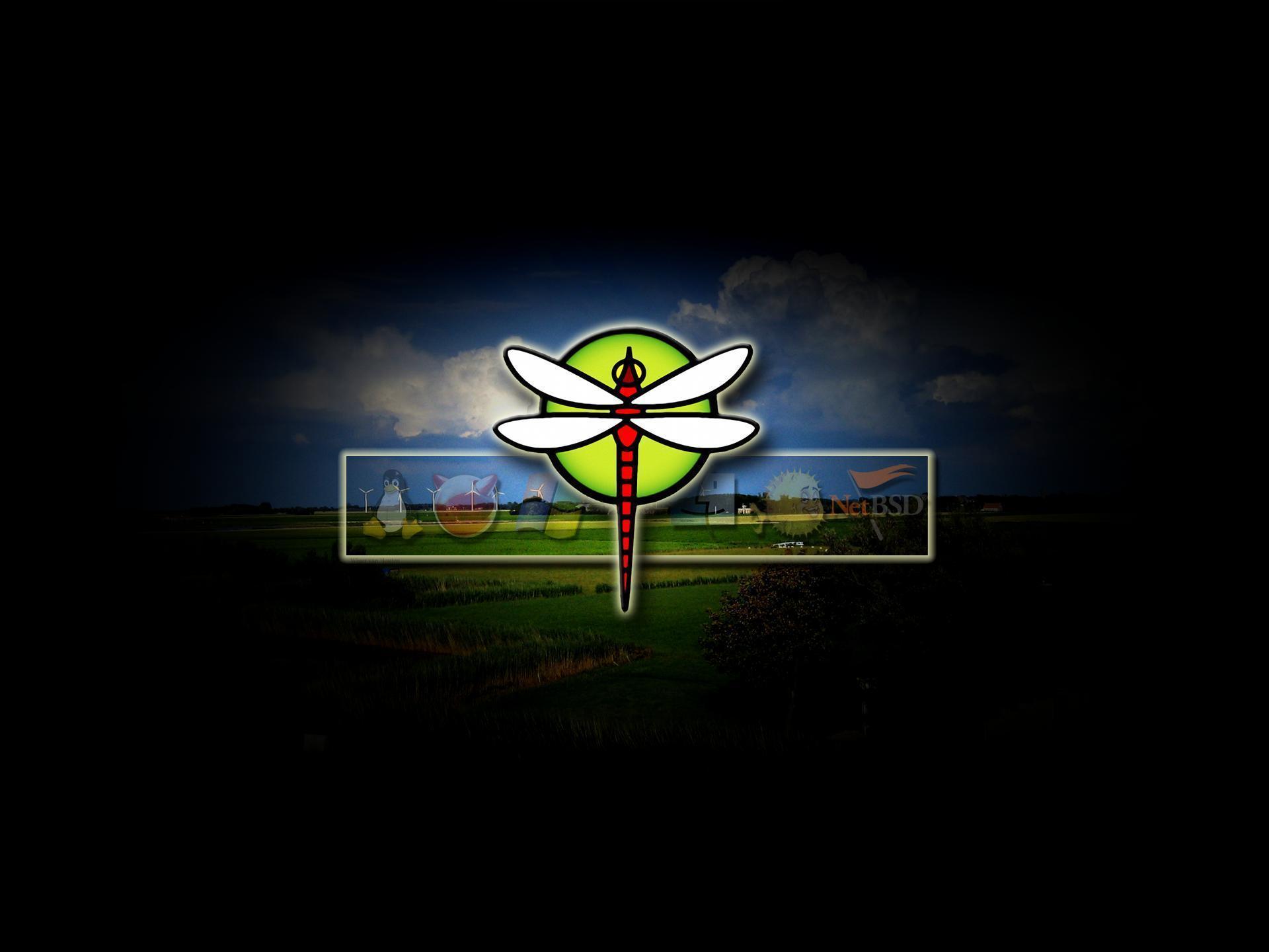 Dragonfly Wallpaper All About Dragon World Tattoo Design