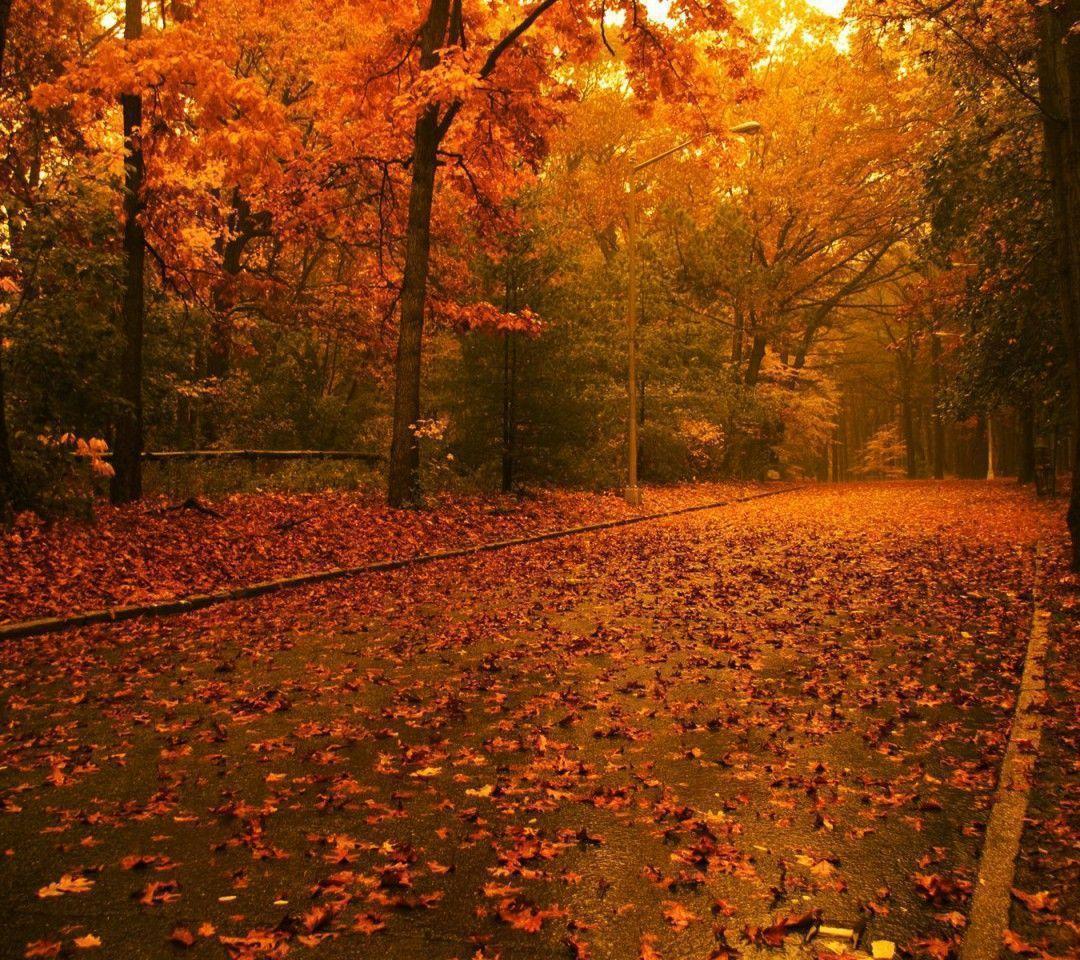 Free Autumn Wallpapers For Desktop - Wallpaper Cave