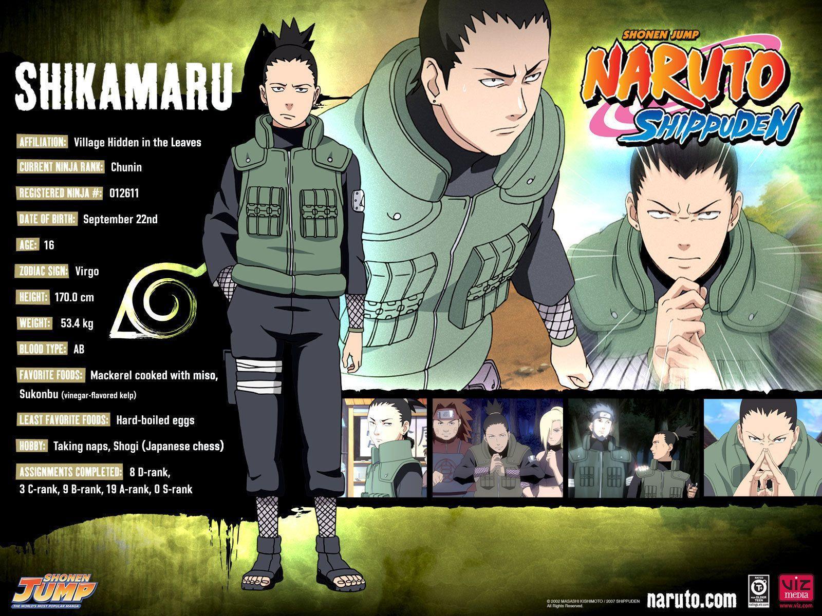 Shikamaru Profile Naruto Shippuden Wallpaper Wallpaper