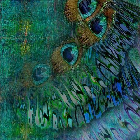 Peacock Feather Background Image, Stock Picture, Royalty Free