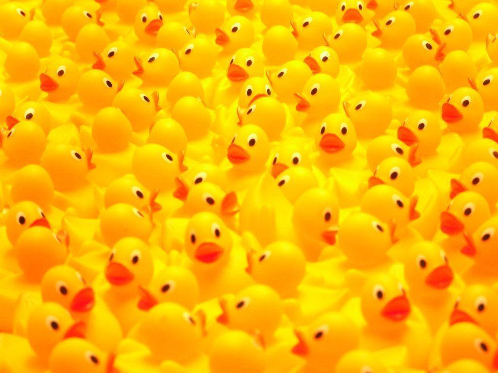 Rubber Ducky Wallpapers - Wallpaper Cave