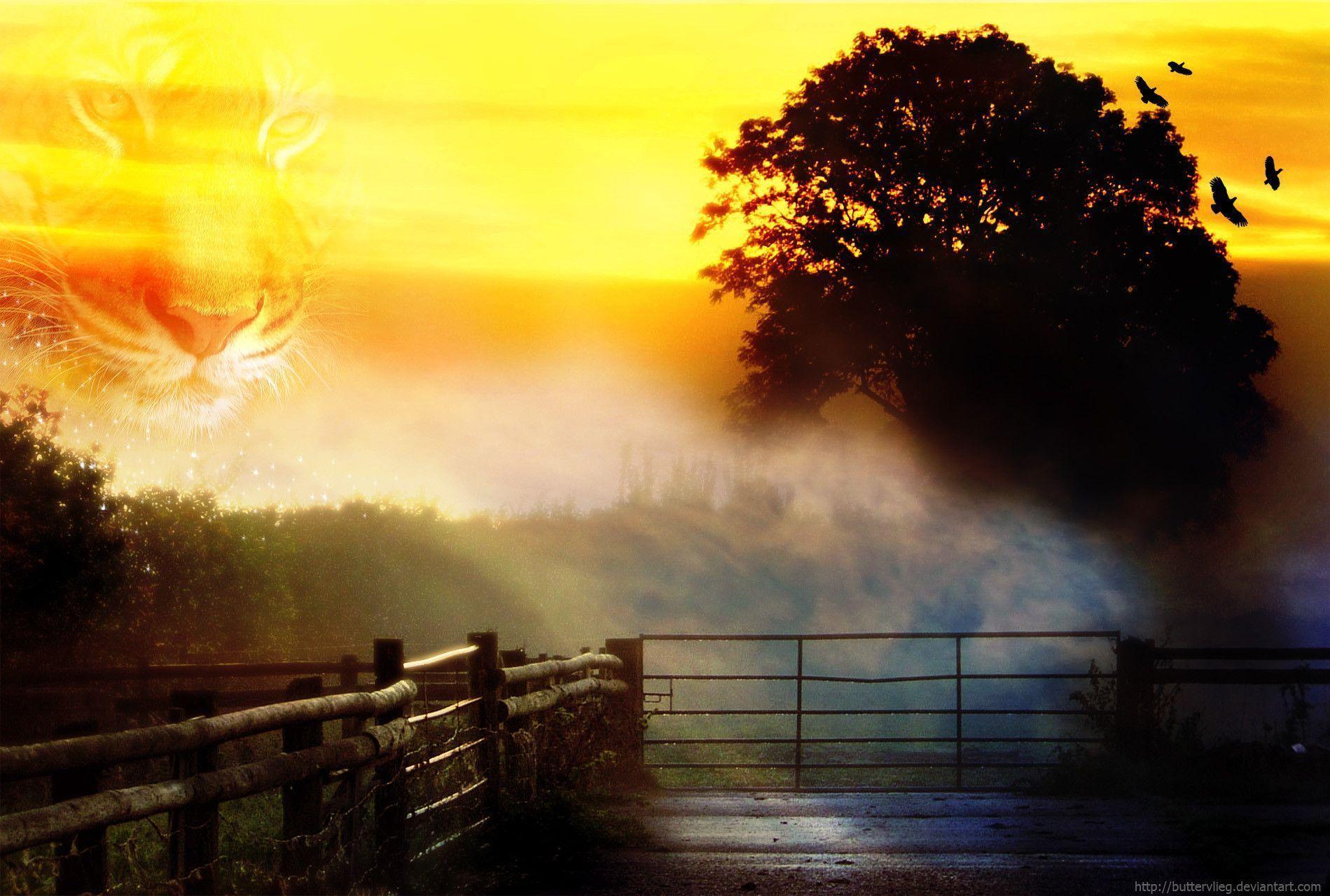 fruits Cherry Orange