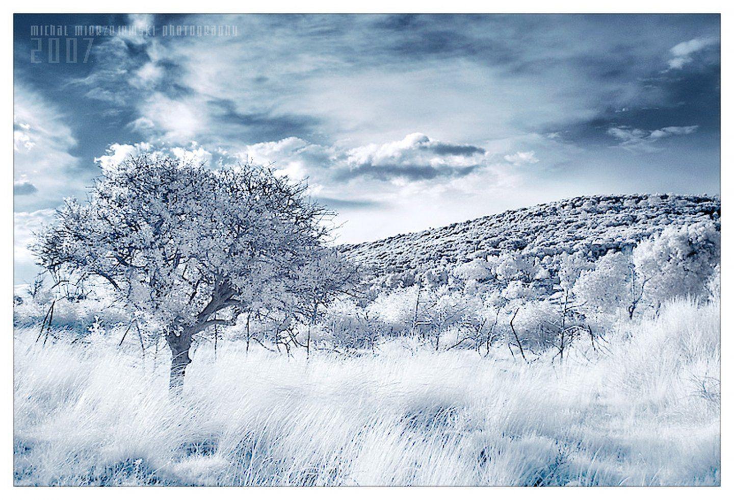 Free Wallpaper Snow
