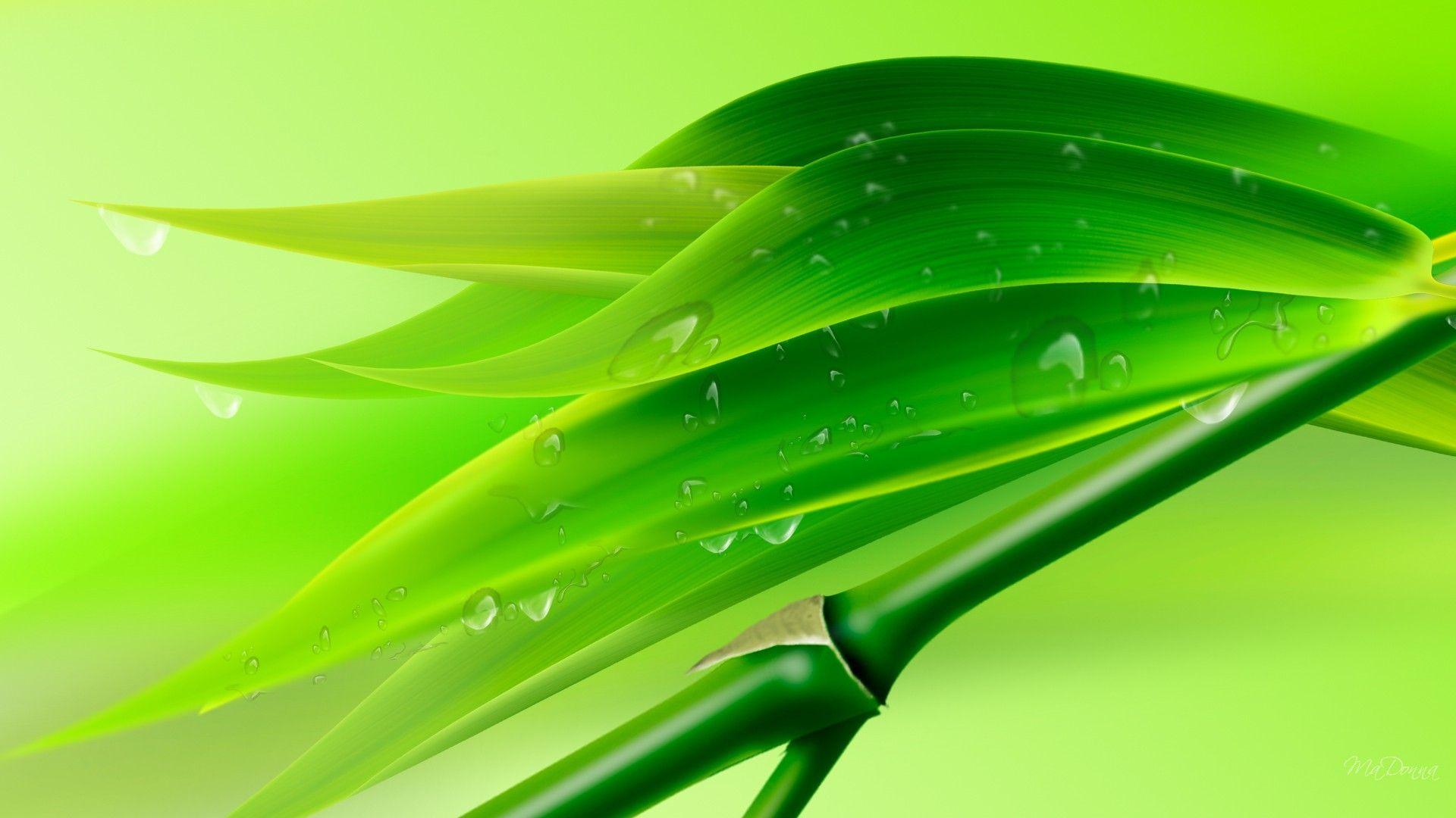 Green Bamboo Leaves Background