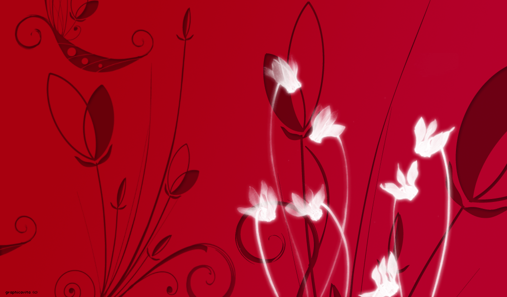 wallpaper red passion