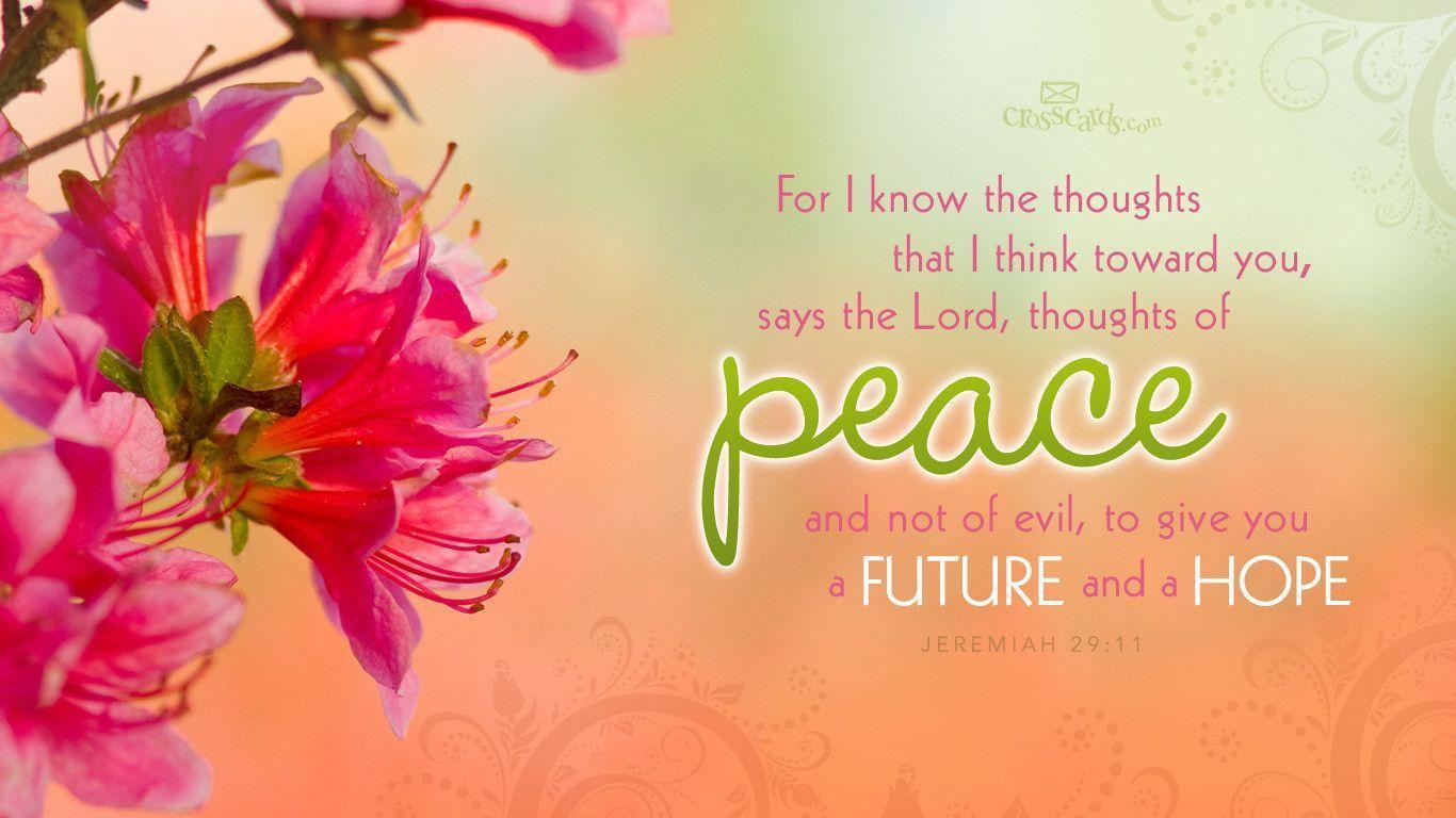 Jeremiah 29:11 of Peace Wallpaper