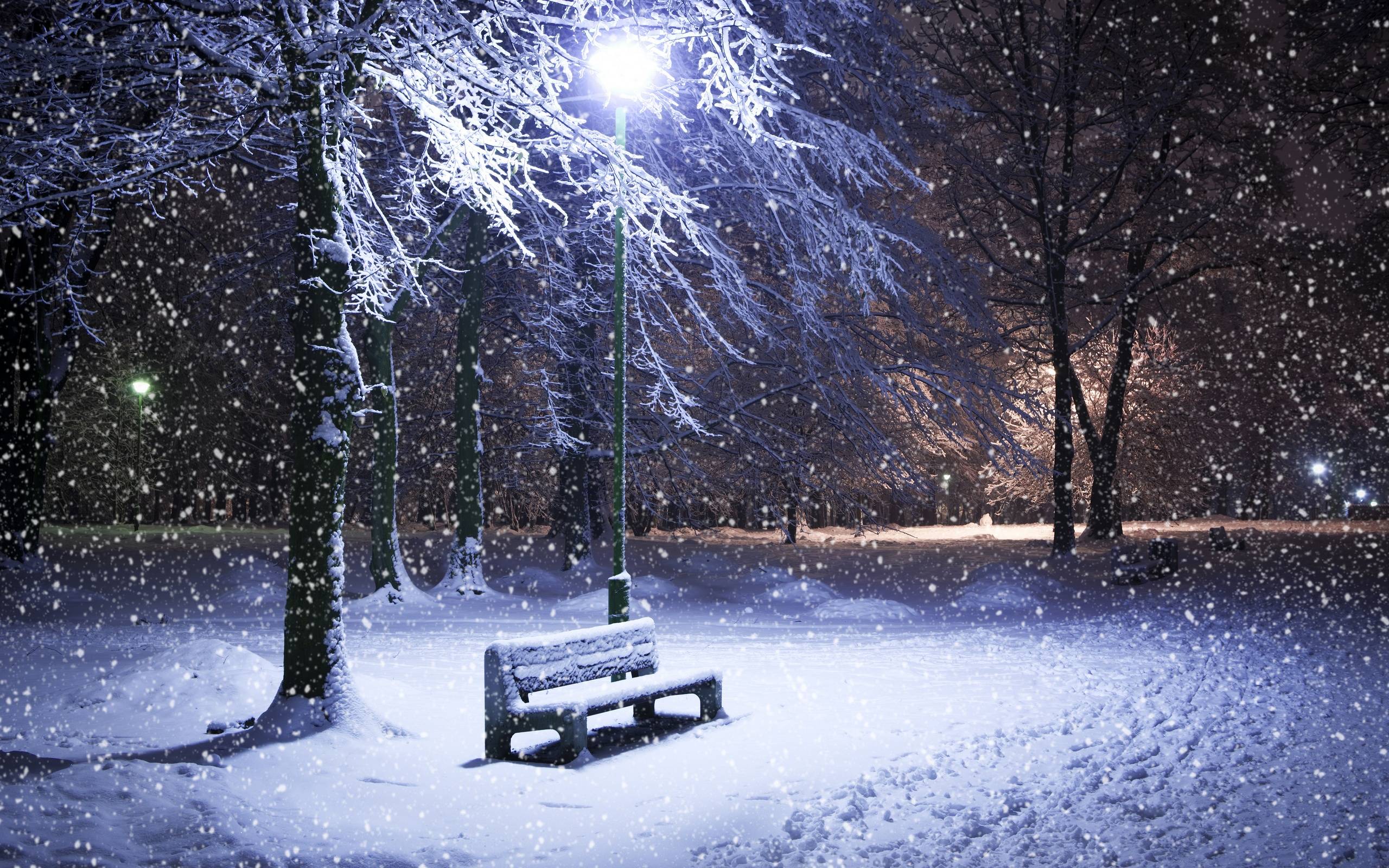 Winter Night HD Wallpaper