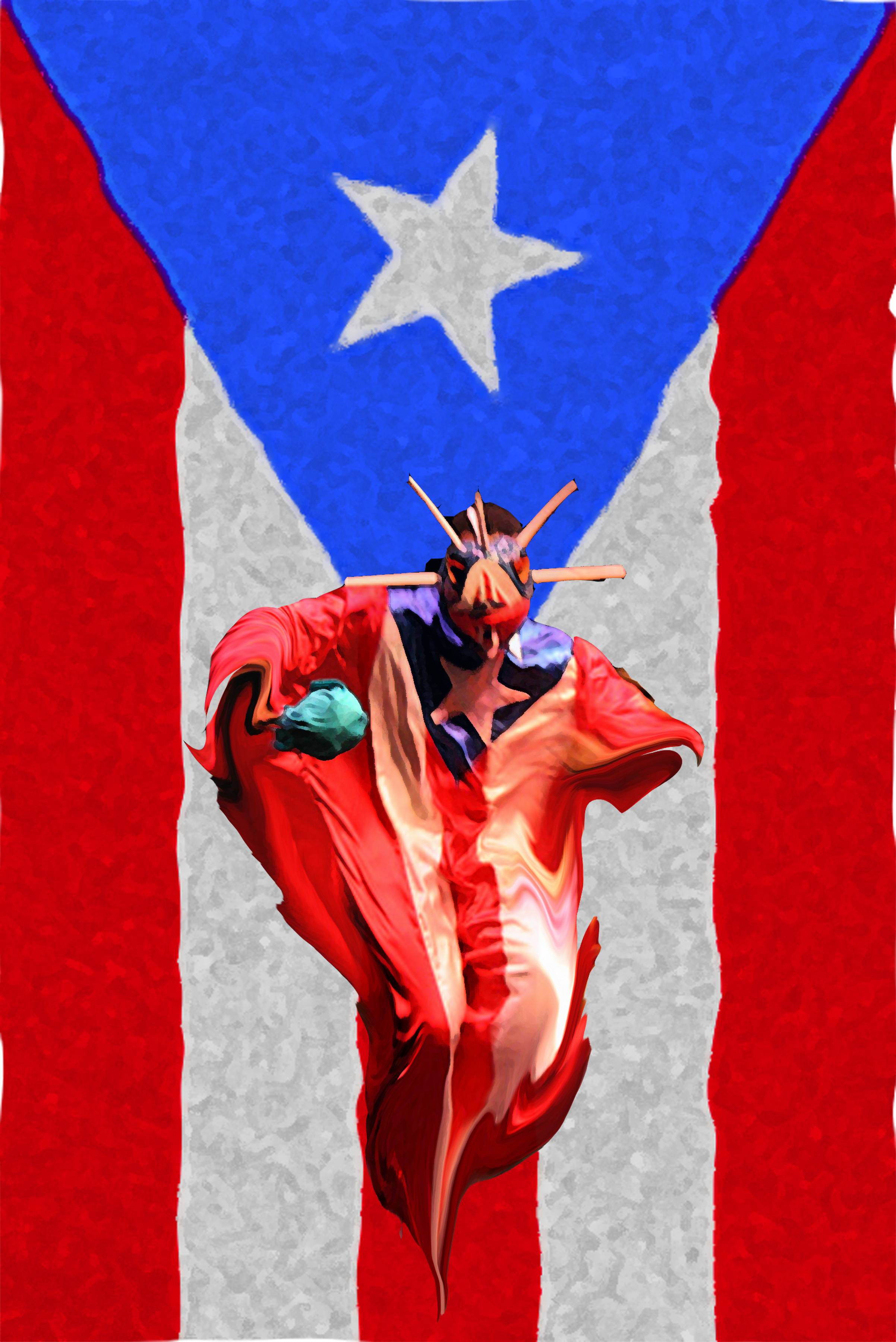 Puerto Rico Flag Art