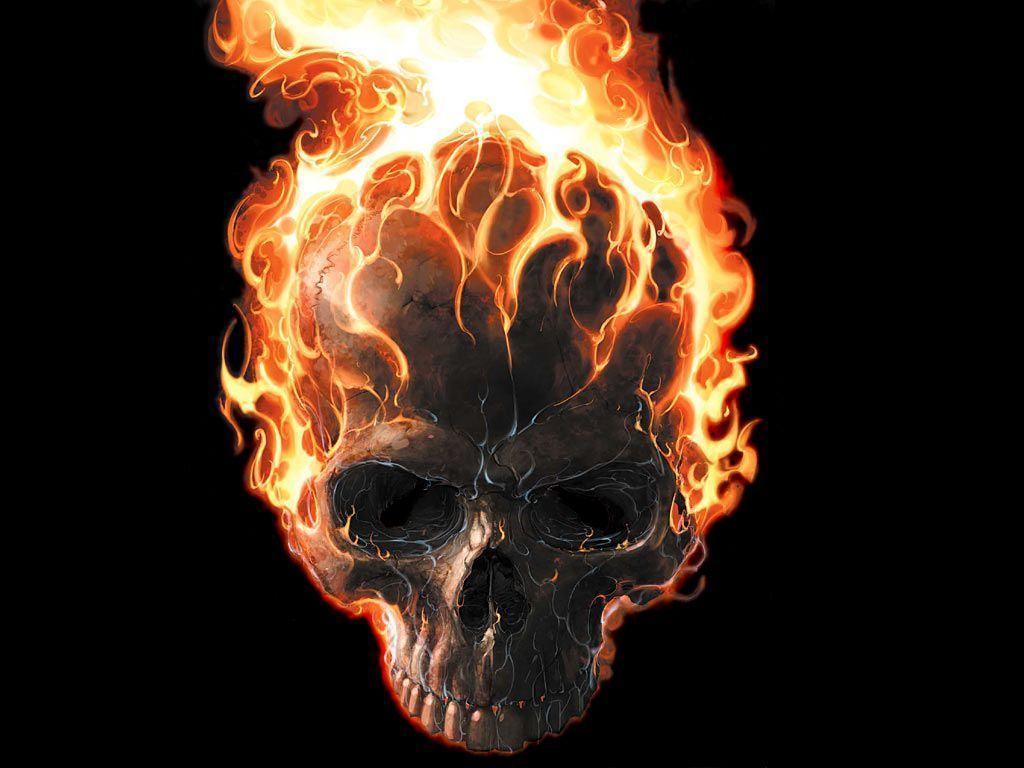 Ghost Rider Wallpaper 2763 1024x768 px