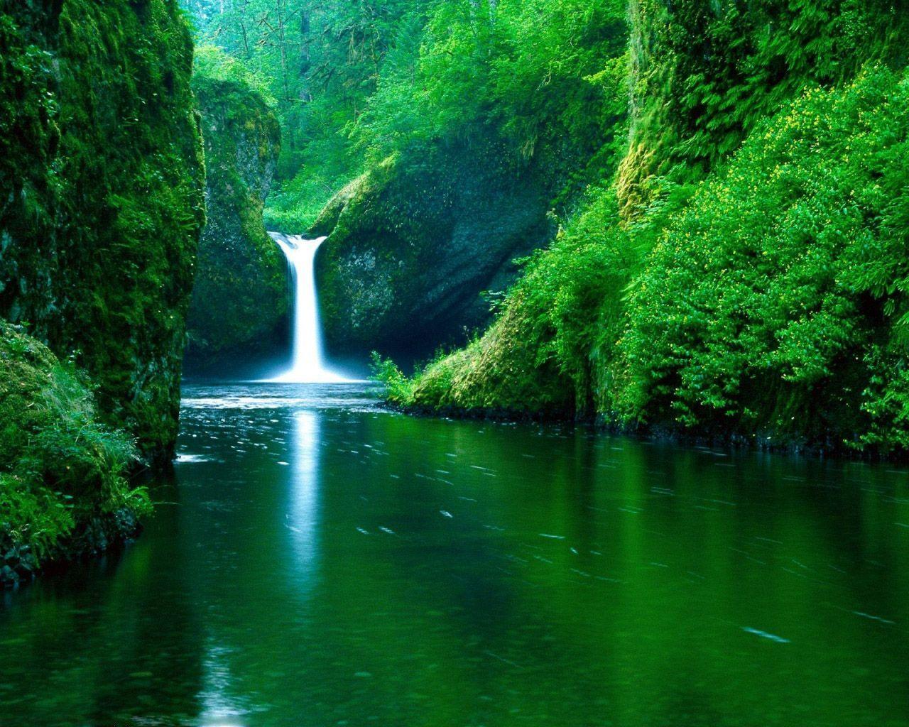 free desktop background net wallpaper