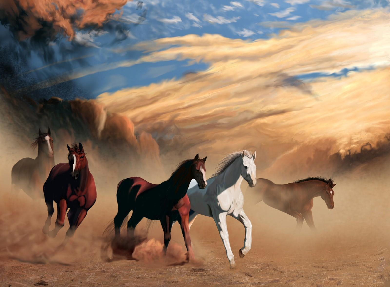 Wild Horses Wallpaper and Picture Items