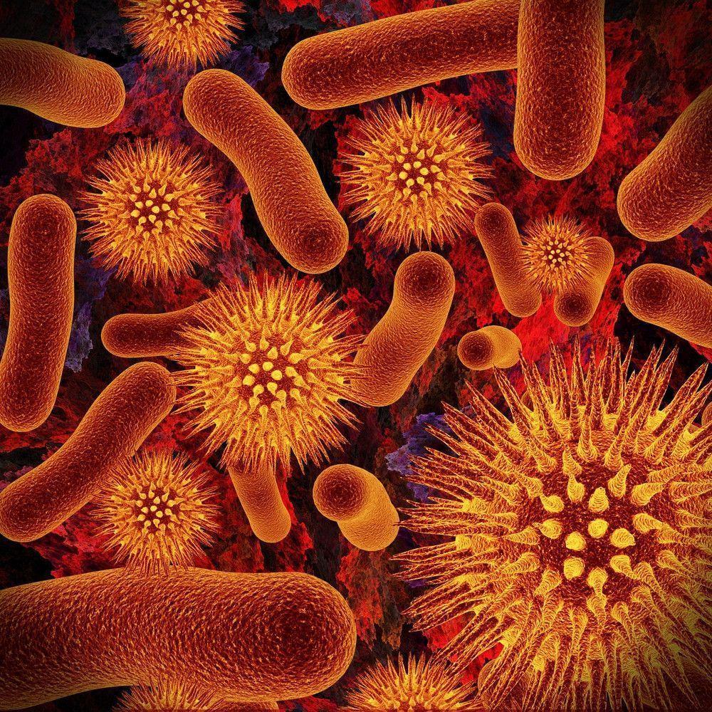 Bacteria. HD Wallpaper at WallpaperMap.com