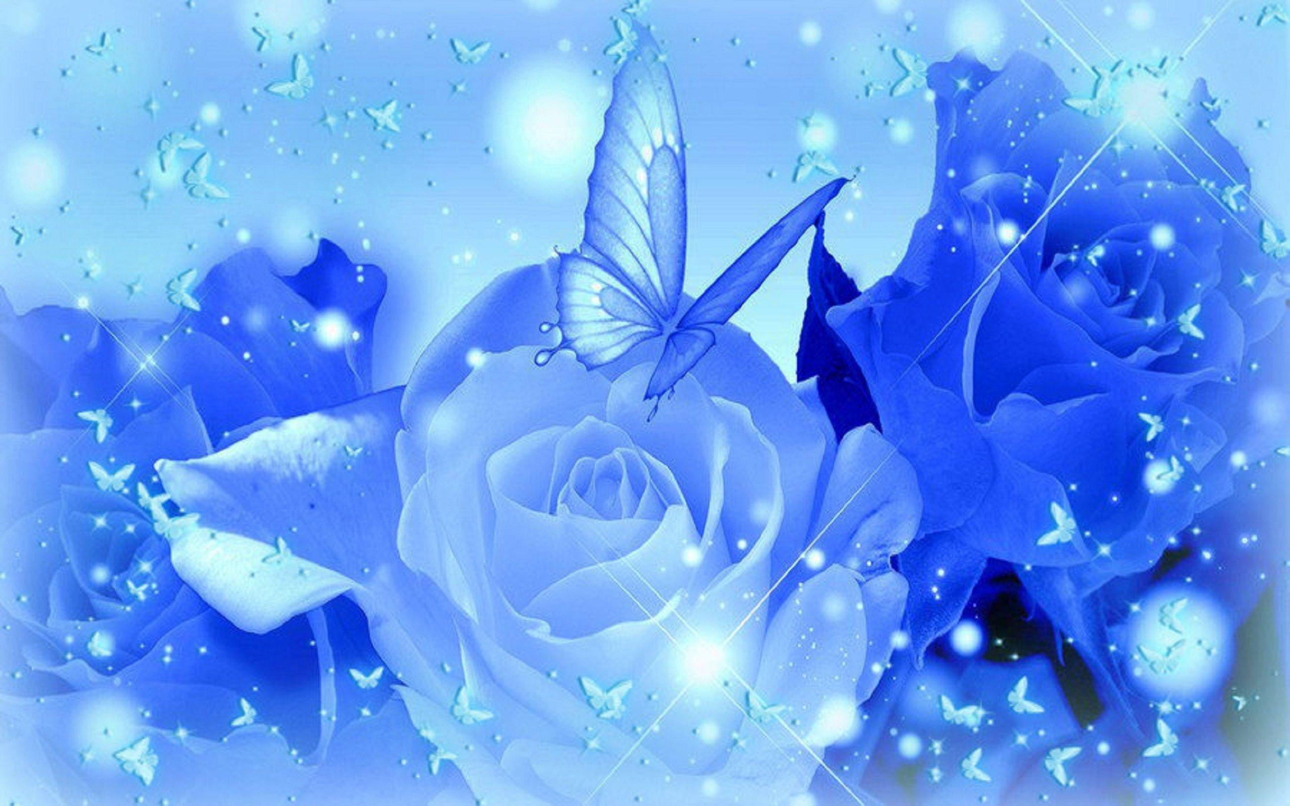 blue rose background wallpaper Search Engine