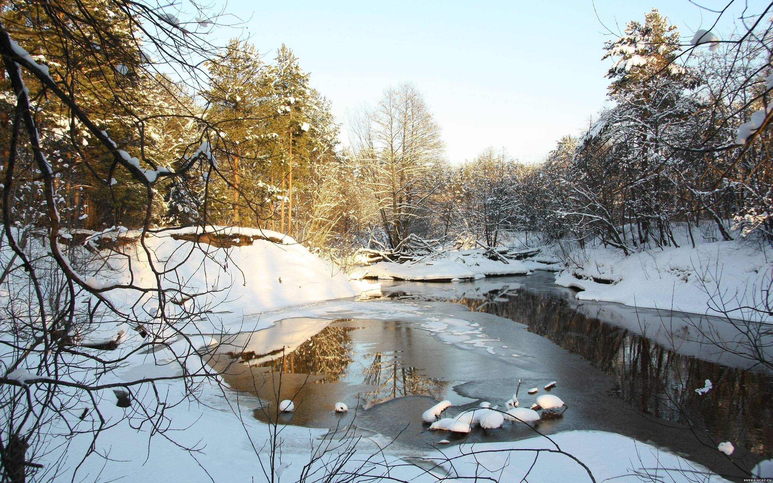 Early Spring Scenes