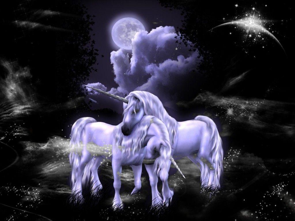 Free Unicorns in Love Wallpaper Download The 1024x768PX