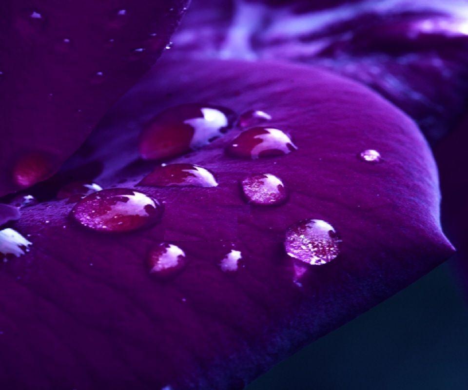 Drops On Purple abstract phone wallpaper download free