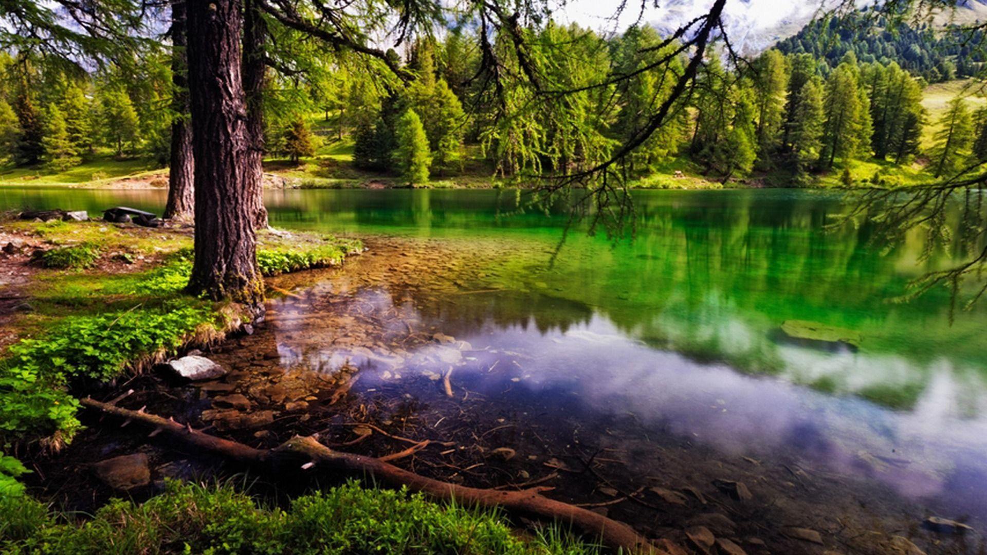 Beautiful Lake Hdr Peaceful Serene Macro Photography Wallpaper