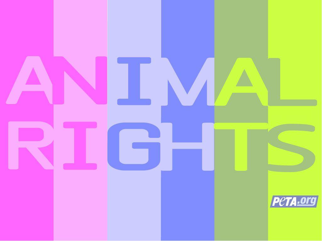 Desktop Wallpaper. Get Active for Animals Online