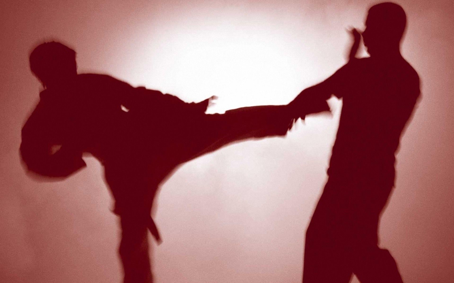 silhouette photo of men doing karate The sky Sport Battle Wallpaper  Shadows Blow Fighters The fight Silhouette Mar  Martial arts Karate  Silhouette photos