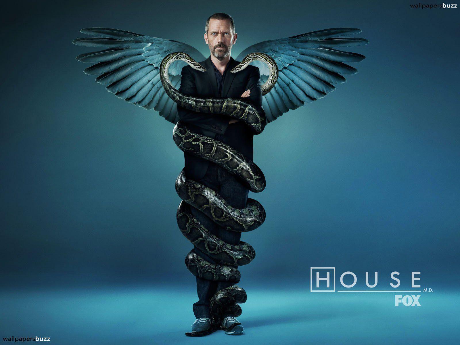 Gregory House and medicine HD wallpaper