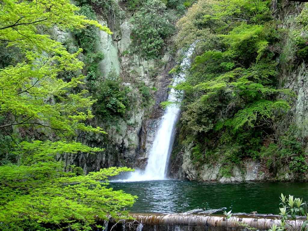 Japan nature Wallpaper for Desktop Wallpaper. Free Download