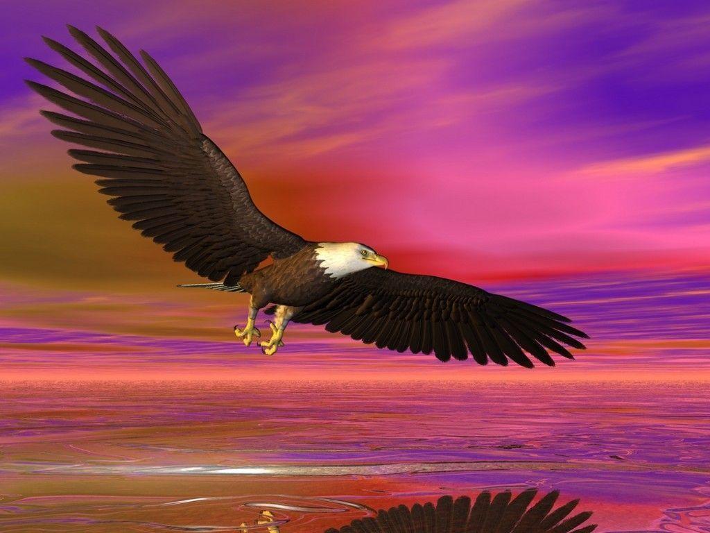 Illustrated bald eagle flying over the sea