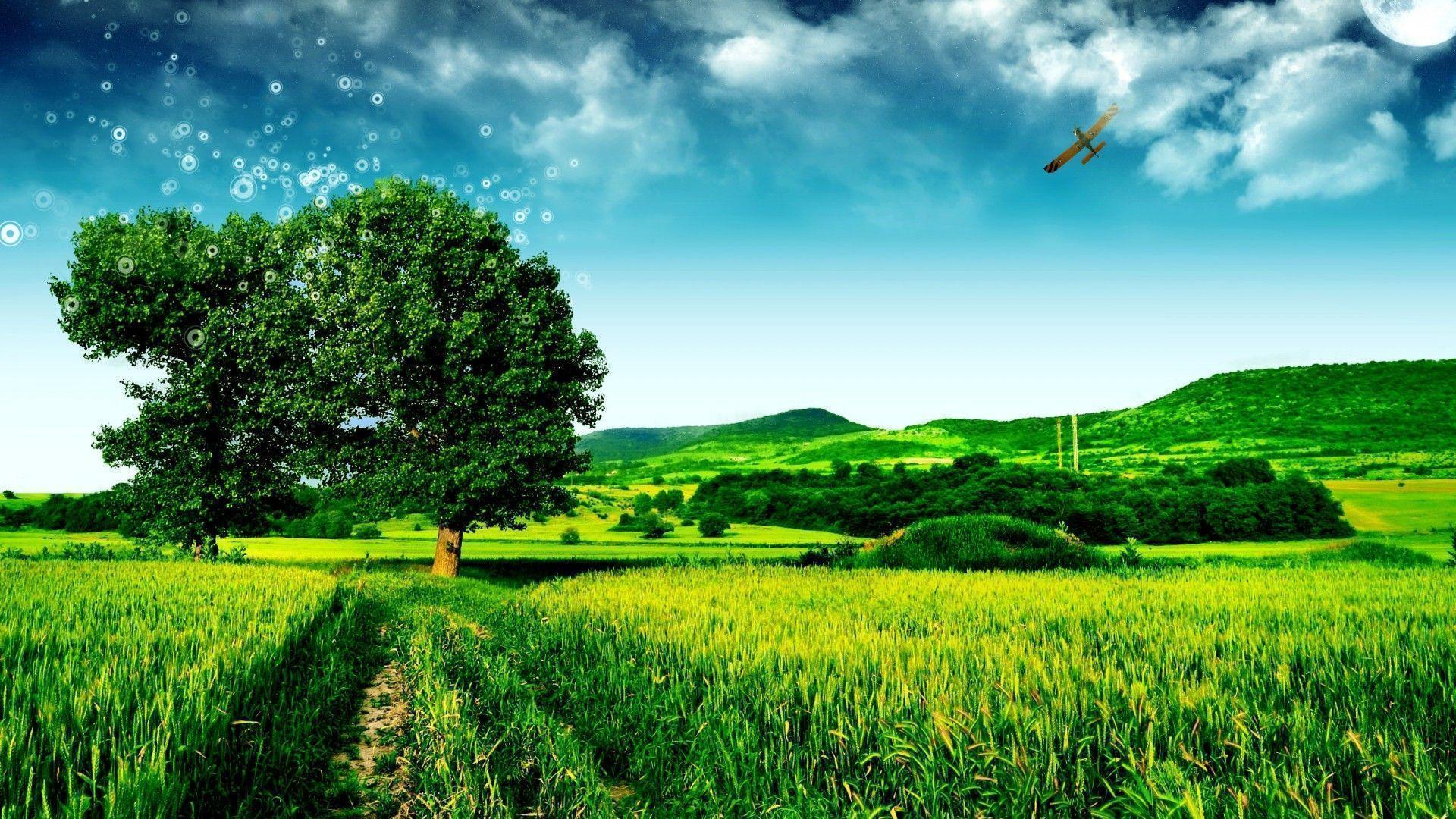 3D Nature Wallpaper For Desktop HD Wallpaper 2819